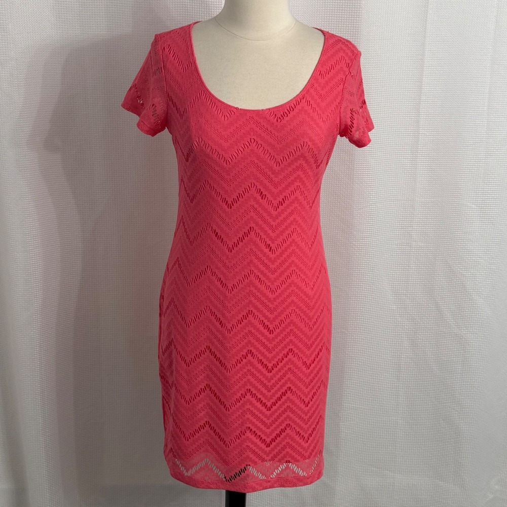 Tiana B. Women's Short Sleeve Chevron Knit Lined Sheath Dress